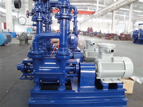 2BE3液環(huán)真空泵及壓縮機(jī) 沃爾姆國產(chǎn)品牌的卓越選擇